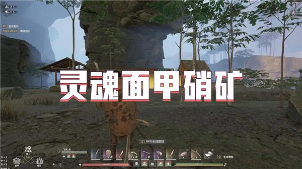 灵魂面甲硝矿