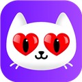 夜色快播极速版app