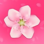 野花高清视频在线观看免费8