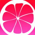 窝窝影院高清版软件下载大全_logo