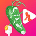 草莓视频app官方在线入口