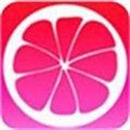 午夜播放器app下载地址